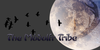 The-Mothyolfr-Tribe's avatar