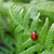 :iconthe-nature-author: