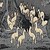 the-not-writer :iconthe-not-writer: