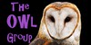 :iconthe-owl-group: