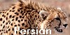 The-Persian-Cheetahs's avatar