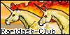 the-Rapidash-club's avatar