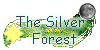 The-Silver-Forest's avatar