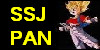 The-SSJ-Pan-Club's avatar