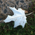 the-unusual-one-56 :iconthe-unusual-one-56: