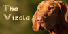 The-Vizsla's avatar