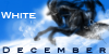 The-White-December's avatar