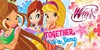 The-WinxClubArtists's avatar