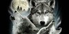 :iconthe-wolf-packs: