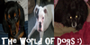 The-world-of-Dogs's avatar