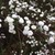 theawesomeg :icontheawesomeg: