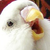 TheAwkwardPossum :icontheawkwardpossum: