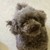 TheCrystalRebel :iconthecrystalrebel: