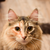 TheDarkestArt :iconthedarkestart: