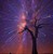 TheDiffferentOne :iconthediffferentone: