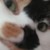TheDoodlingFox :iconthedoodlingfox: