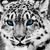 thedude009 :iconthedude009: