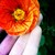 thefragrantsoul :iconthefragrantsoul: