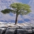 thegodtree :iconthegodtree: