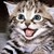 :iconthehappyauthor: