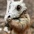 Thehoodedteddy13 :iconthehoodedteddy13: