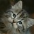 TheLolyLolGuy :iconthelolylolguy: