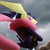 TheMadZocker :iconthemadzocker: