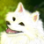 TheMooskyDoggo :iconthemooskydoggo: