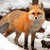 TheNinjaNeutralGood :icontheninjaneutralgood: