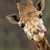 TheodoreMurritea :icontheodoremurritea: