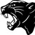 TheRealPantherGuy62 :icontherealpantherguy62: