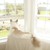 TheSilverAxolotl :iconthesilveraxolotl: