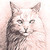 TheSilverElf :iconthesilverelf: