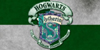TheSlytherins's avatar