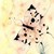thespritefish :iconthespritefish: