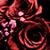 thetevycam :iconthetevycam: