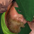 TheWrightMan :iconthewrightman: