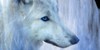 ThunderIce-Wolf-Pack's avatar