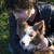 ThuskyArt :iconthuskyart: