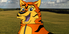 Tiger-Aleu's avatar