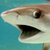 timeywimeyprimey04 :icontimeywimeyprimey04: