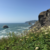 TimOrth :icontimorth: