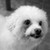 tinuvielluthien :icontinuvielluthien: