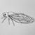 tiny-lion :icontiny-lion: