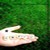 Tite-sOad :icontite-soad: