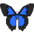 toesinsand19 :icontoesinsand19: