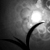 DeviantArt profile picture for @tokens on DeviantArt