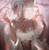 TonyYangStark :icontonyyangstark: