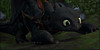 Toothless-Lovers's avatar