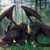 Toothless2912-MLP - Hobbyist, Traditional Artist | DeviantArt